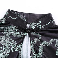 Dragon Party Dress