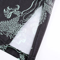 Dragon Party Dress